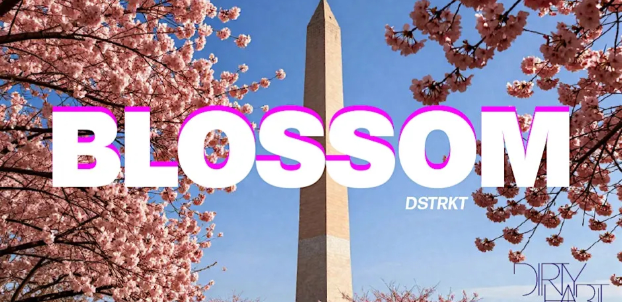 "BLOSSOM" Spring Cherry Blossom Kickoff Event